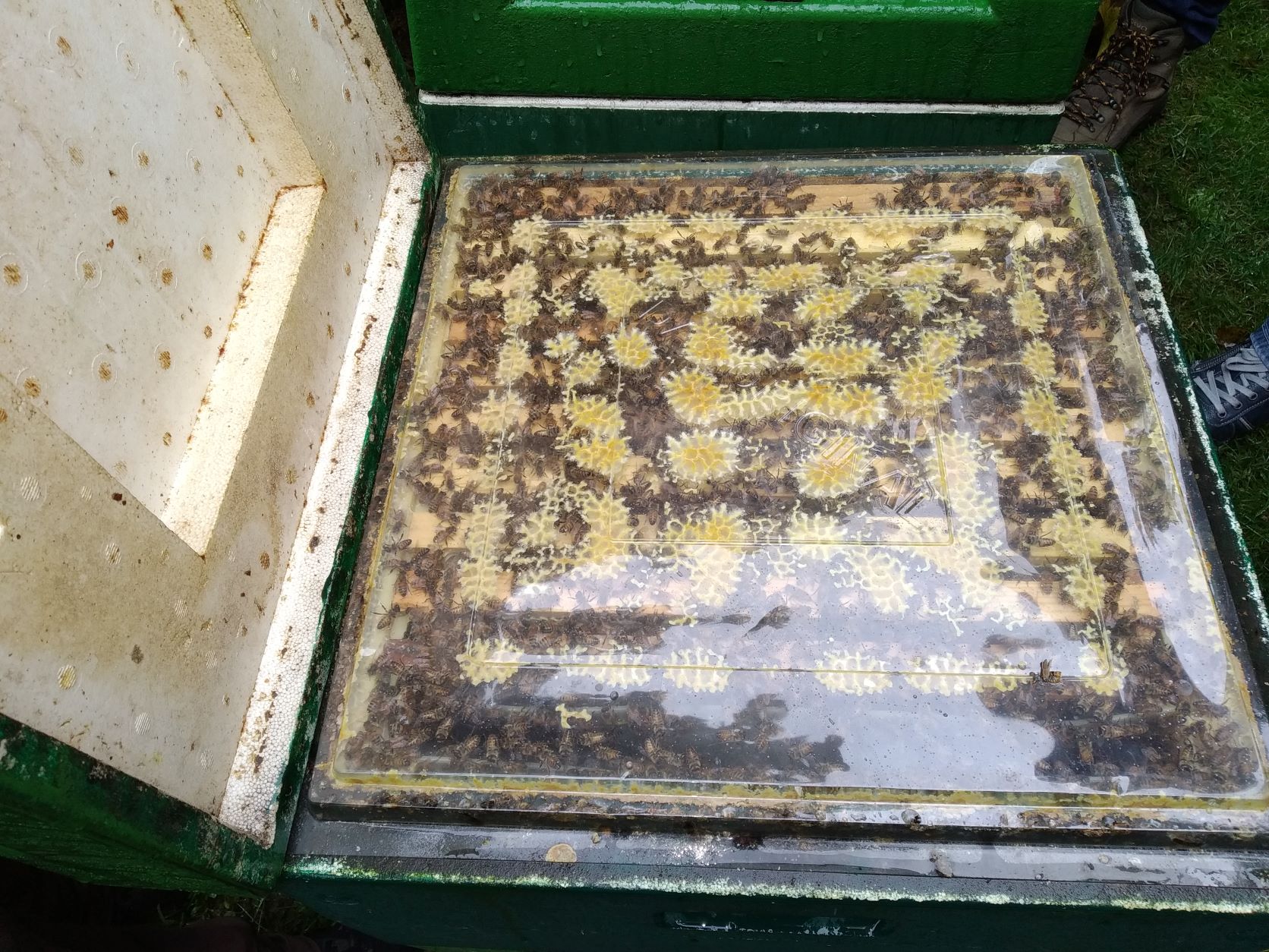 2022.10.15 – Besuch bei Fam. Hirten – Bienenstöcke im Garten3